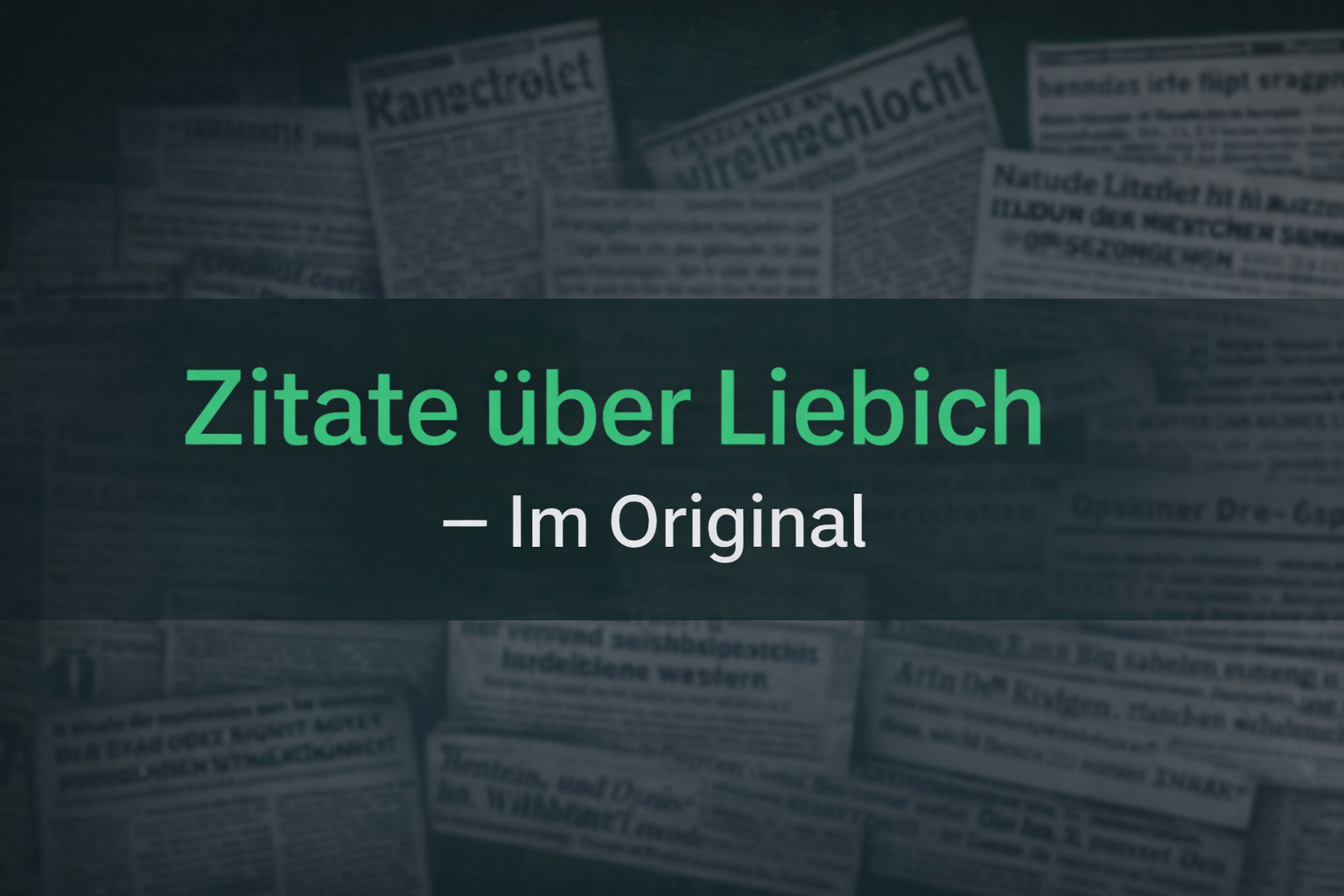 Zitate über Liebich im Original vor unscharfen Zeitungsausschnitten als Symbol für mediale Berichterstattung